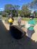 Vegetable Garden Update Banner Photo
