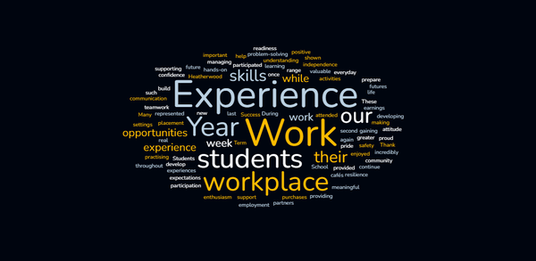 Work Experience Banner Photo