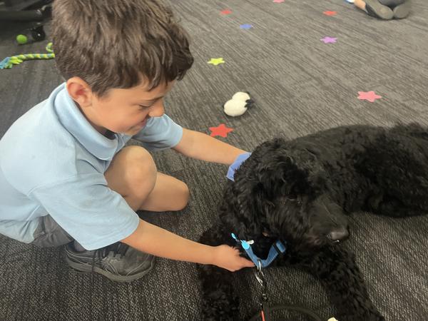 News from Bexley our Well-Being Dog Banner Photo