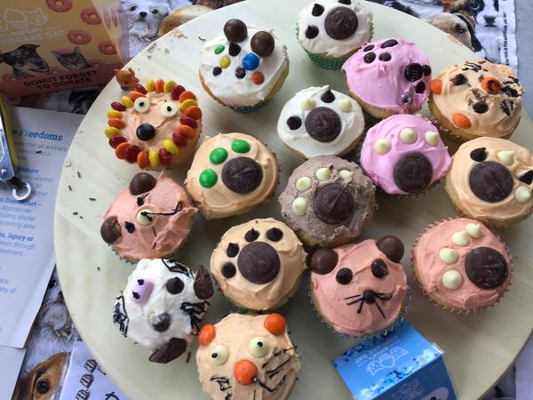 Outside School Hours Care OSHC Banner Photo