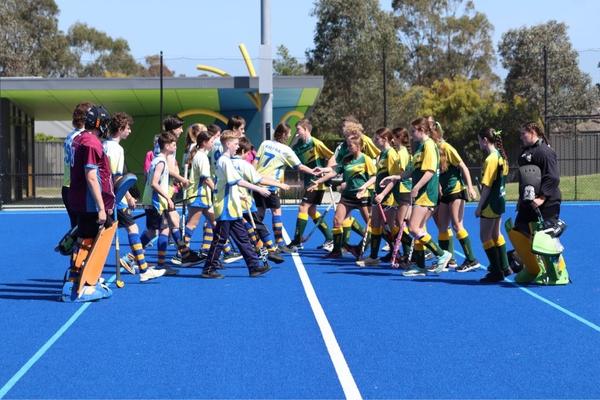 MSC Hockey Banner Photo