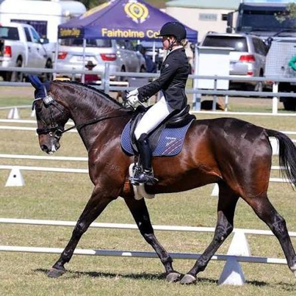 Interschool Equestrian Banner Photo