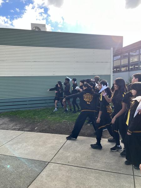Inquiry Investigations in Year 6 Banner Photo