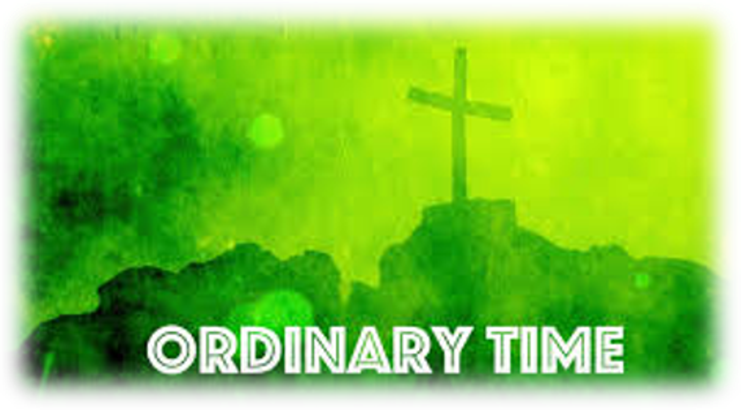 Banner Photo