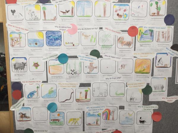 Foundation Banner Photo