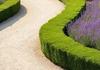 PATH Morning Tea Banner Photo