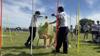 Principal's Report Banner Photo