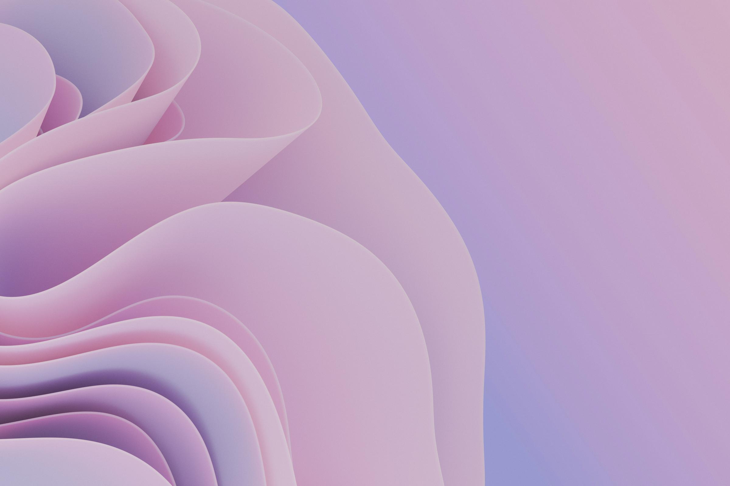 Banner Photo
