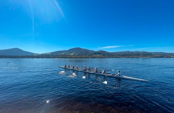 News from the Rowing Sheds Banner Photo