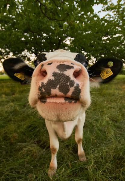 FARM Banner Photo