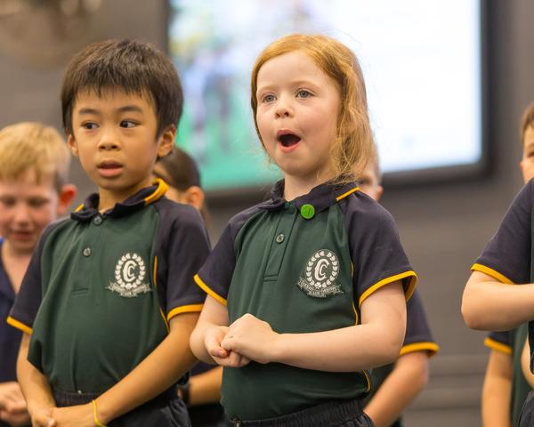 Primary Bulletin Banner Photo