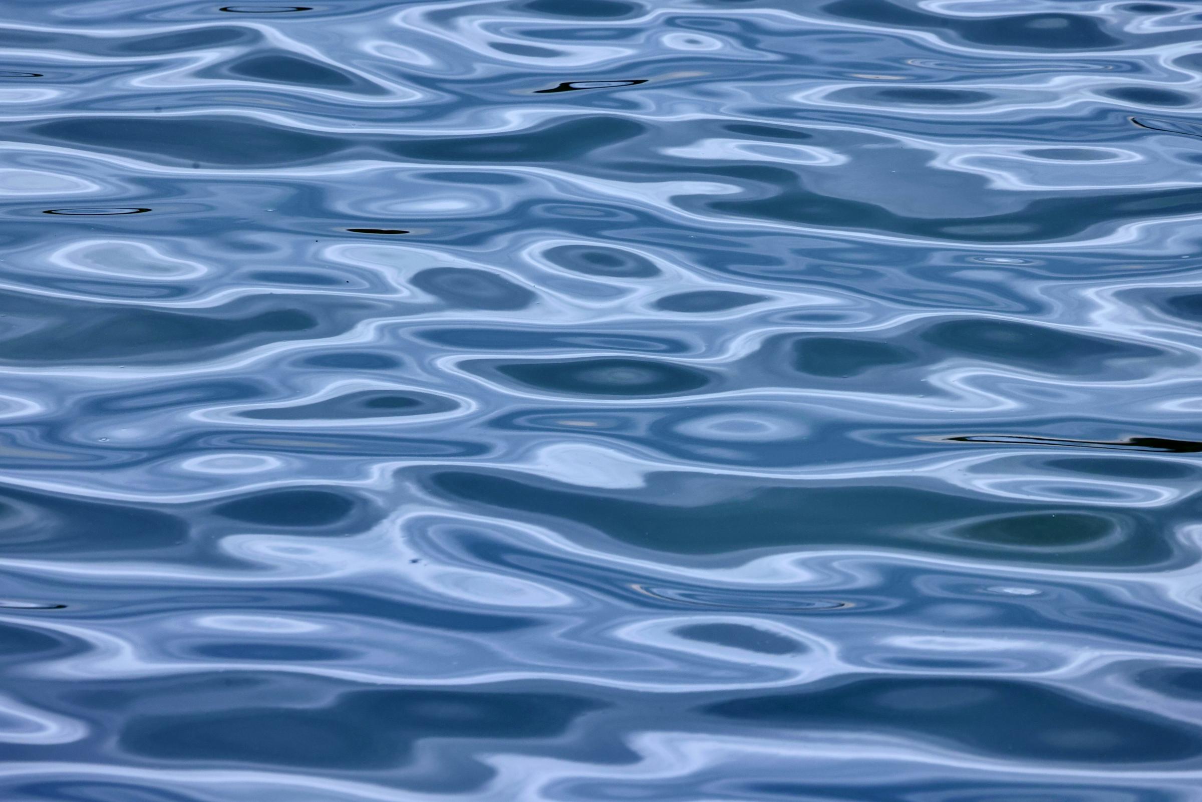 Banner Photo