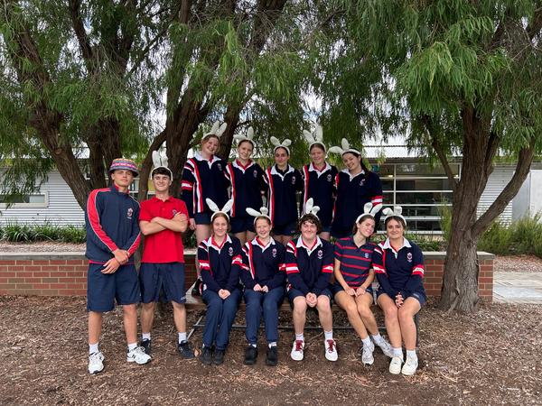Secondary School Banner Photo