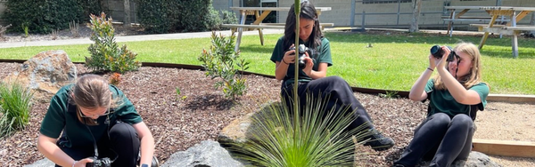 Passion Projects Banner Photo