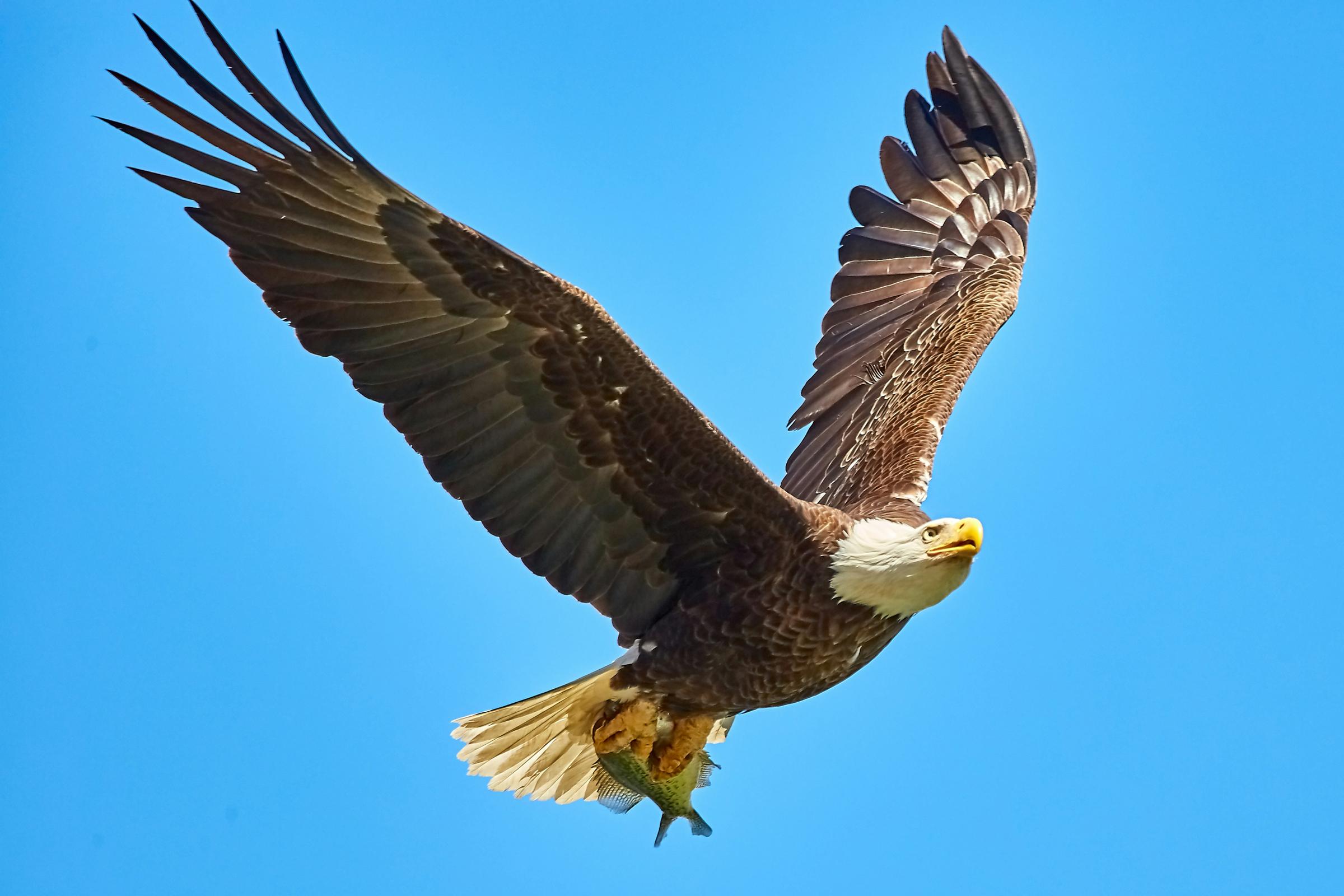 Banner Photo