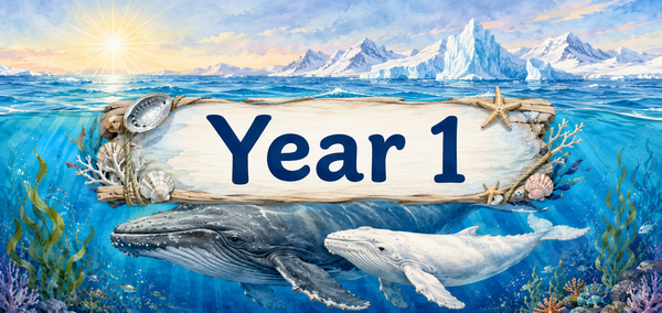 Connect: Year 1 Banner Photo
