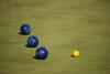 Lawn Bowls! Banner Photo