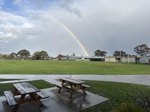 Year 8 News Banner Photo