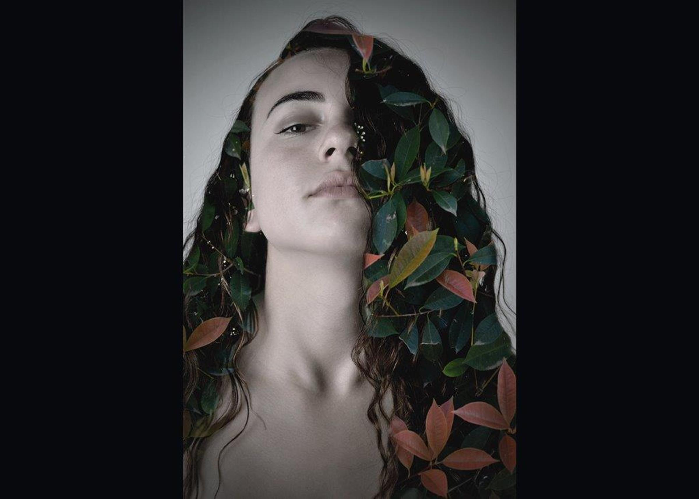 Banner Photo