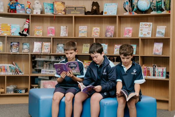 Library Banner Photo
