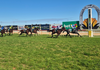 RACEDAY INDUSTRY TOUR REPORT Banner Photo