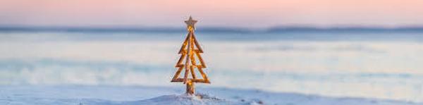 Wellbeing Reflection  Banner Photo