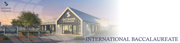International Baccalaureate  Banner Photo