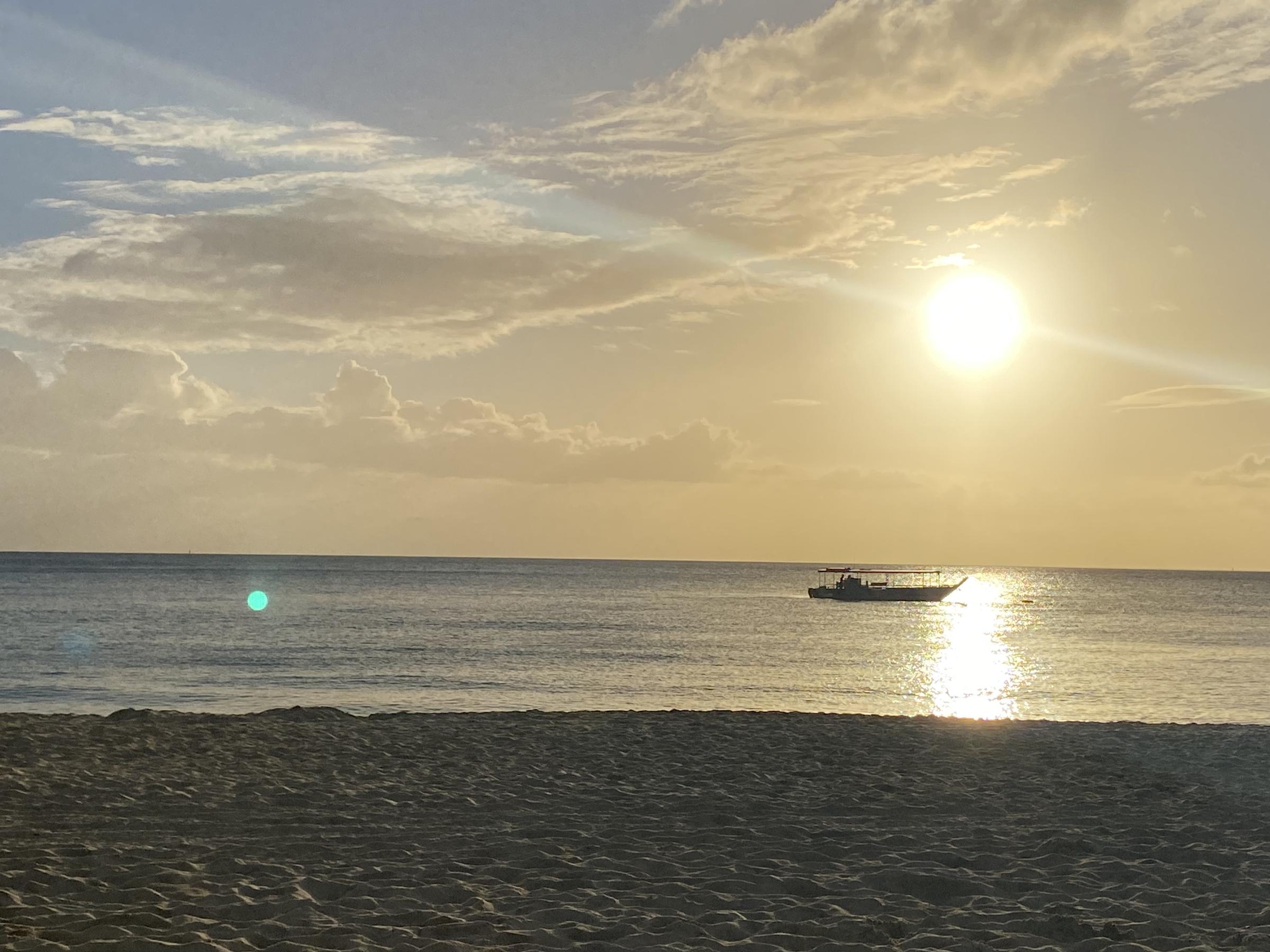 Banner Photo