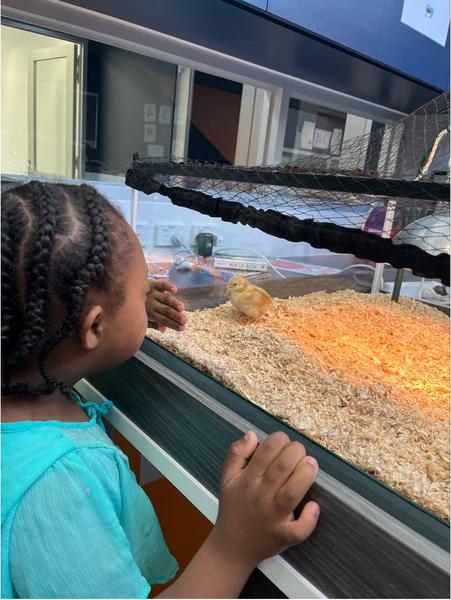 Group 9  Banner Photo