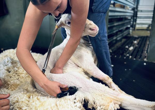 PRINCIPAL Banner Photo