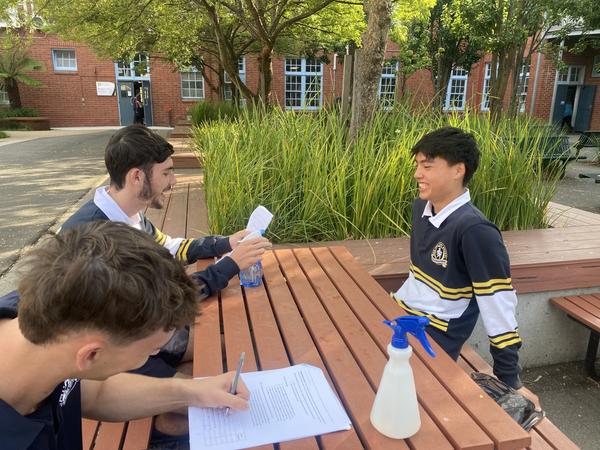 Year 12 Psychology Banner Photo