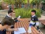 Year 12 Psychology Banner Photo