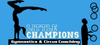 Little Champions Gymnastics Banner Photo