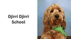 BUNJI NEWS  Banner Photo