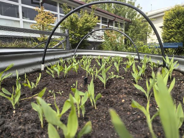 Parent Group News Banner Photo