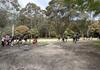 Year 8 Camp Banner Photo