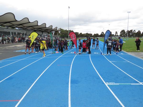 Physical Education Banner Photo
