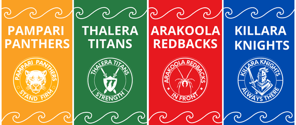 House Swimming Carnival Banner Photo