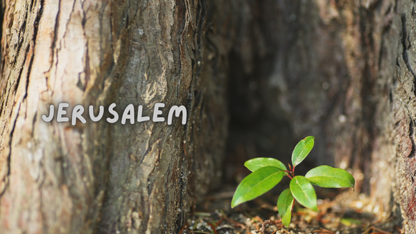 Year One Spotlight on Learning Banner Photo