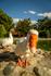 THE BIG GOOSE  Banner Photo
