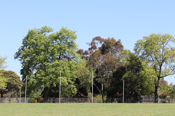 Cross Country Banner Photo