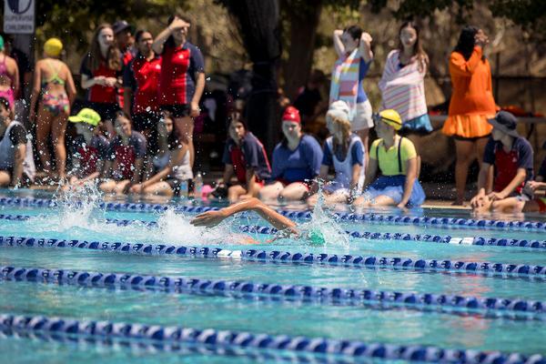 Senior Sport Report Banner Photo