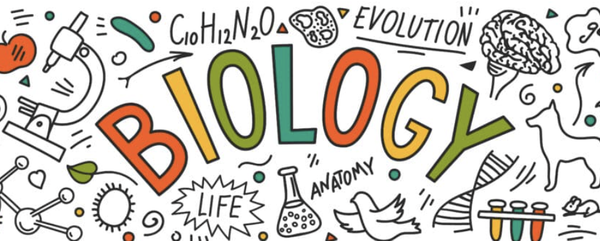 Systemic Knowledge Banner Photo