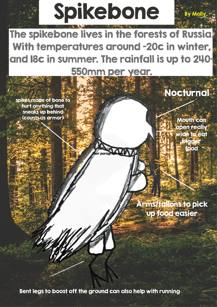 Grade 6 |  Sassafras Banner Photo