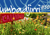 Page 0 Banner Photo