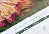 Dates to Remember Banner Photo