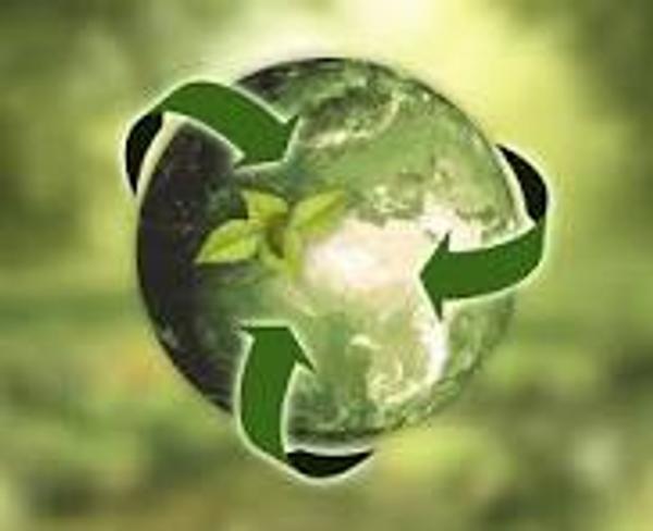 Sustainability Banner Photo