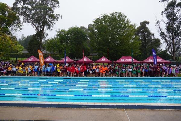 Extracurricular  Banner Photo