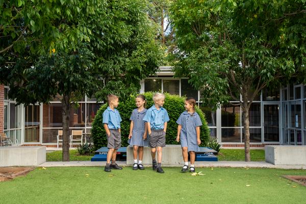 YEAR THREE Banner Photo