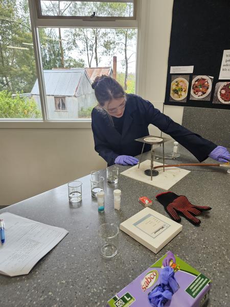 Year 10 Science Investigations Banner Photo